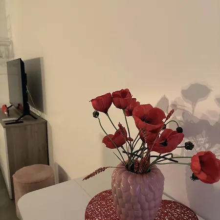 La Casa Di Gi アパート *